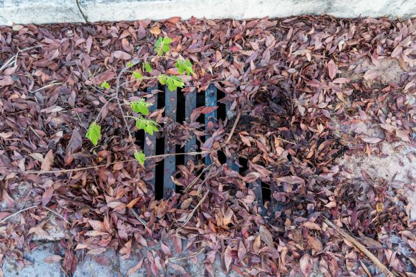 Cost of Yard Drain Unclogging in Rockford