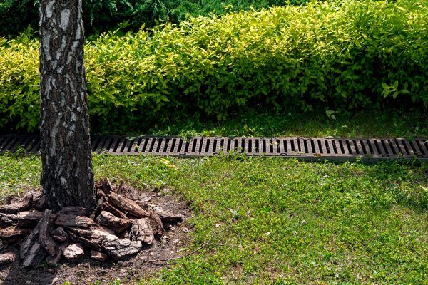 Cost of Yard Water Redirection in Rockford