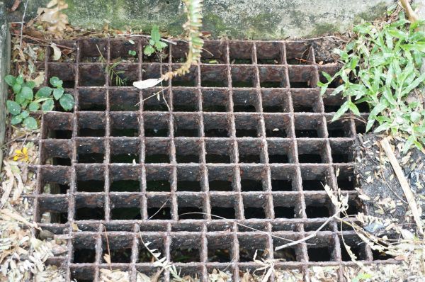 Cost of Yard Drain Cleaning in Rockford