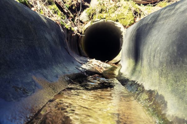Drainage Swale Installation in Rockford