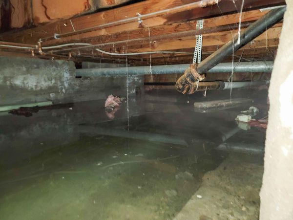Cost of Crawlspace Drainage in Rockford
