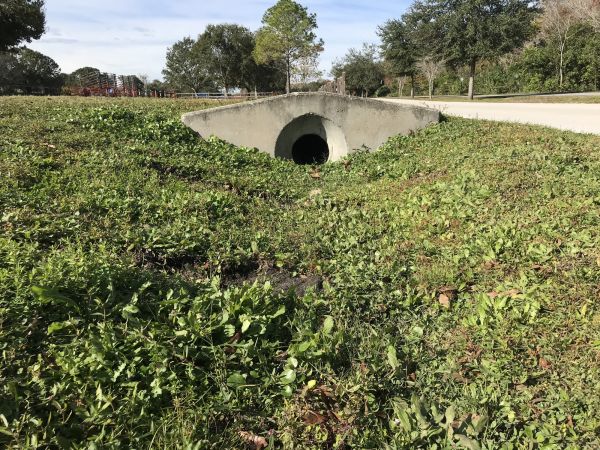 Cost of Swale Drainage Service in Rockford